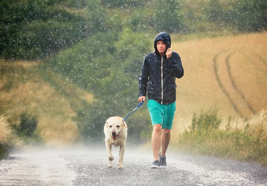 How exercise supports the immune system